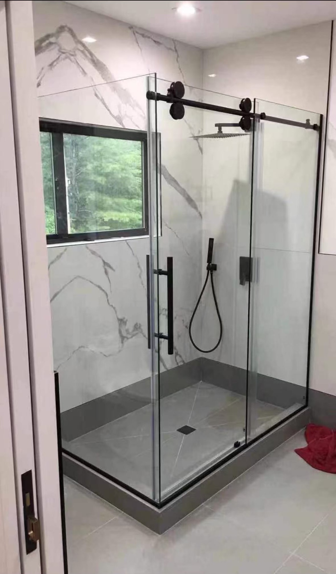 Shower Door