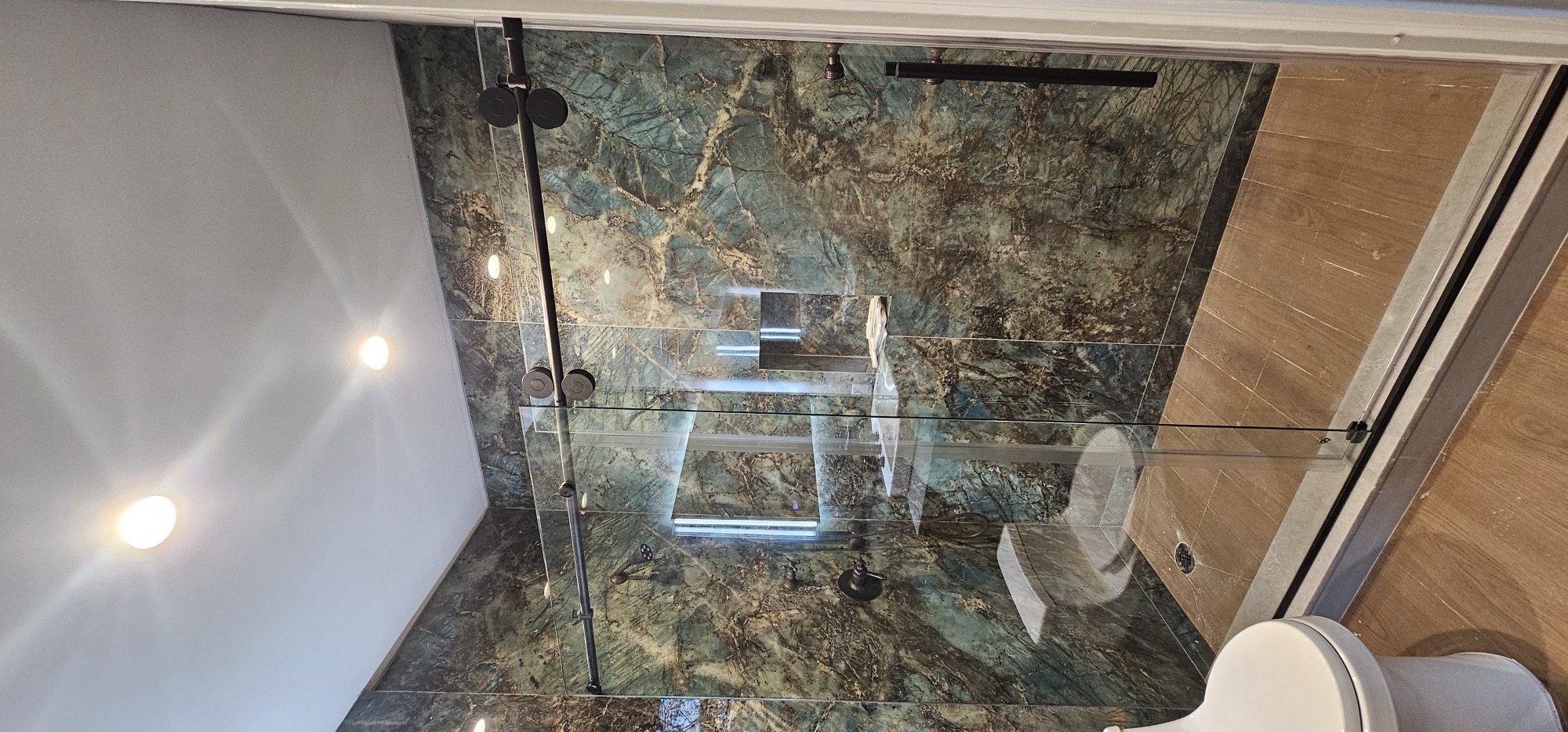 Shower Door