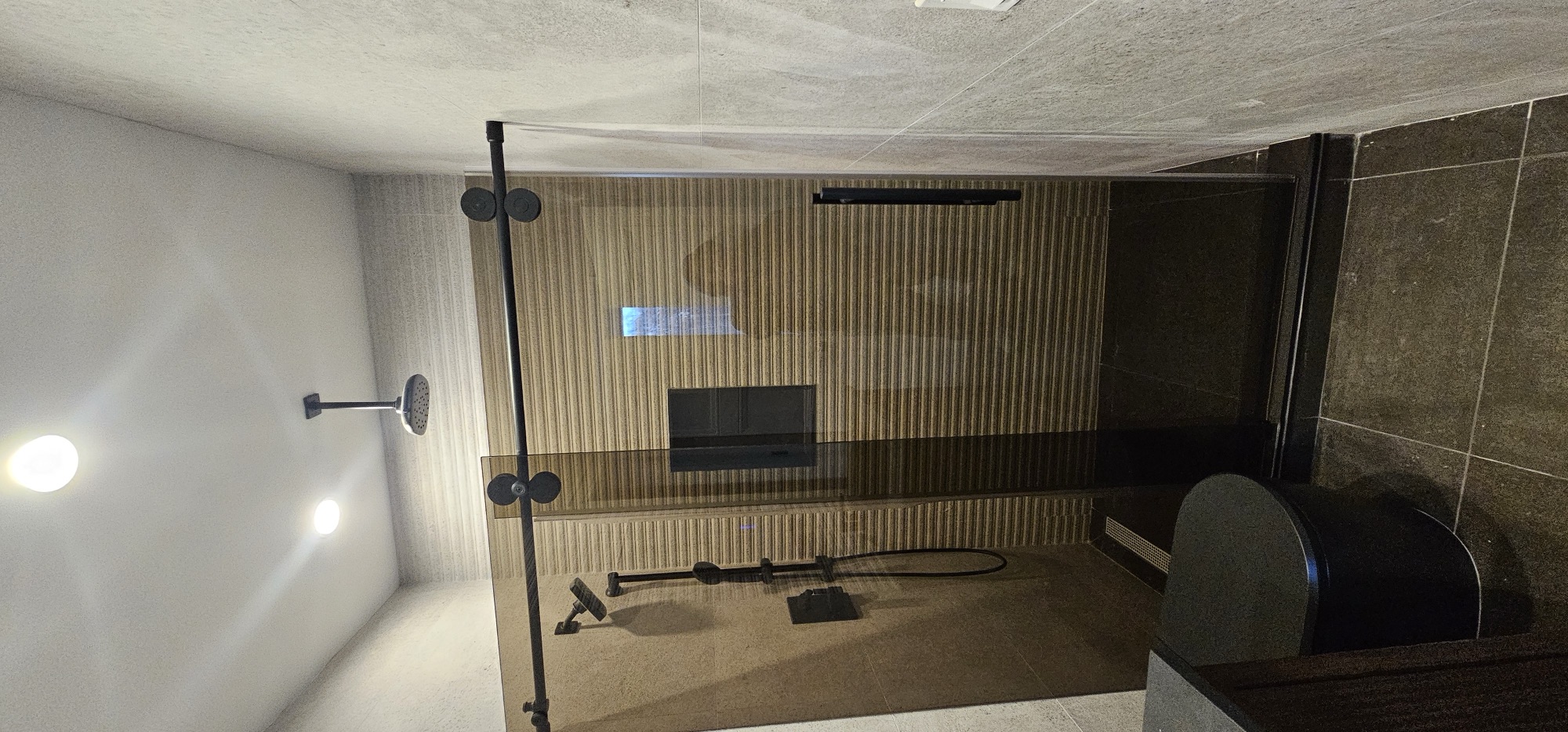 Shower Door
