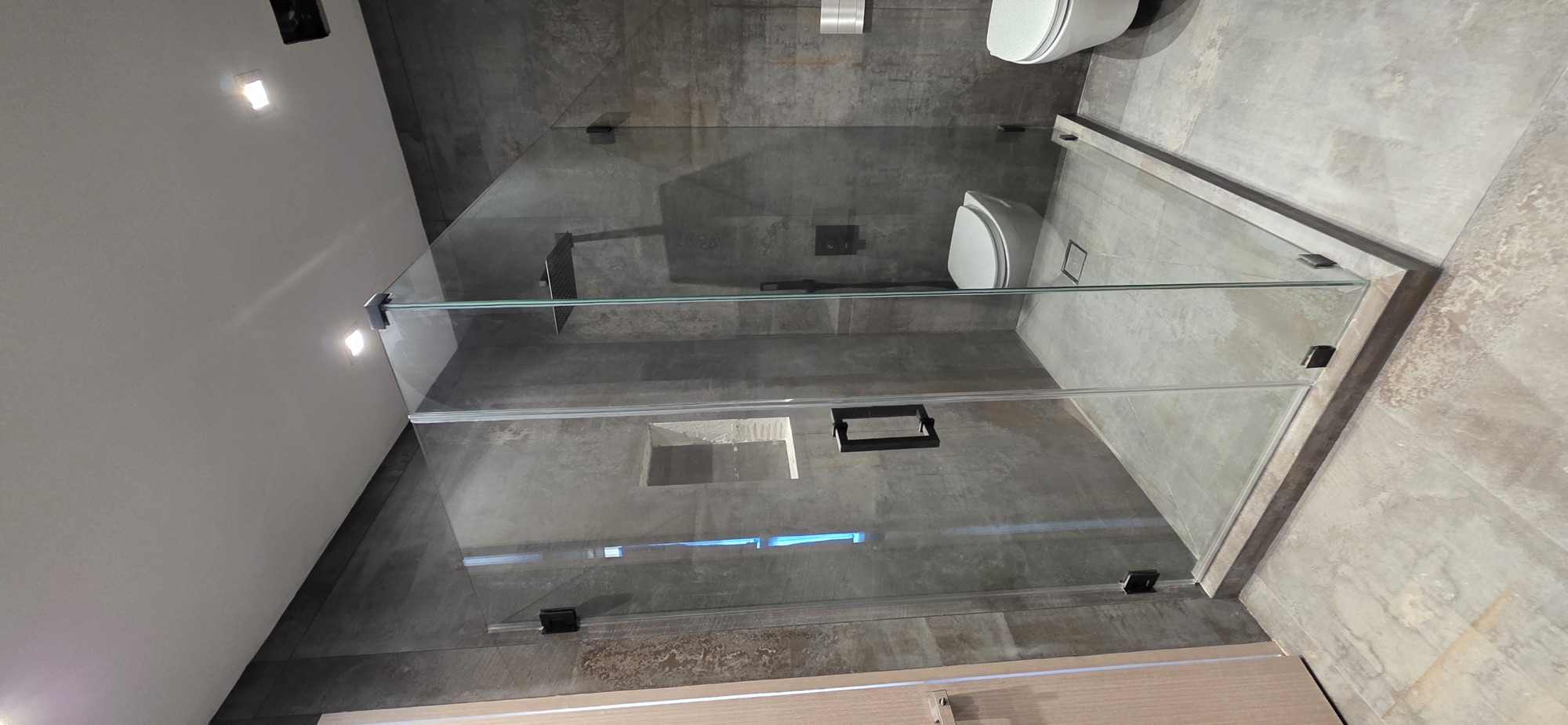 Shower Door
