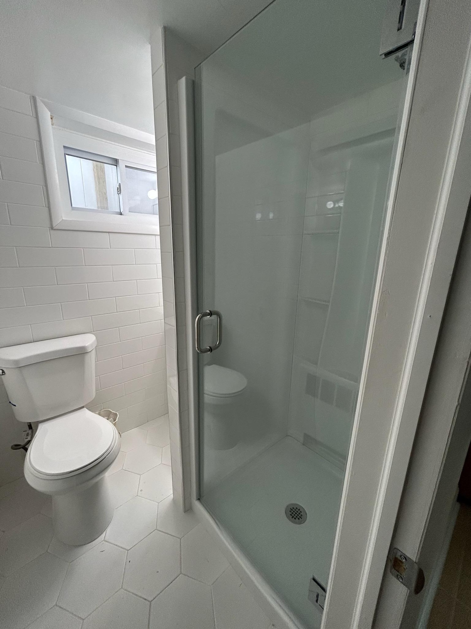 Shower Door