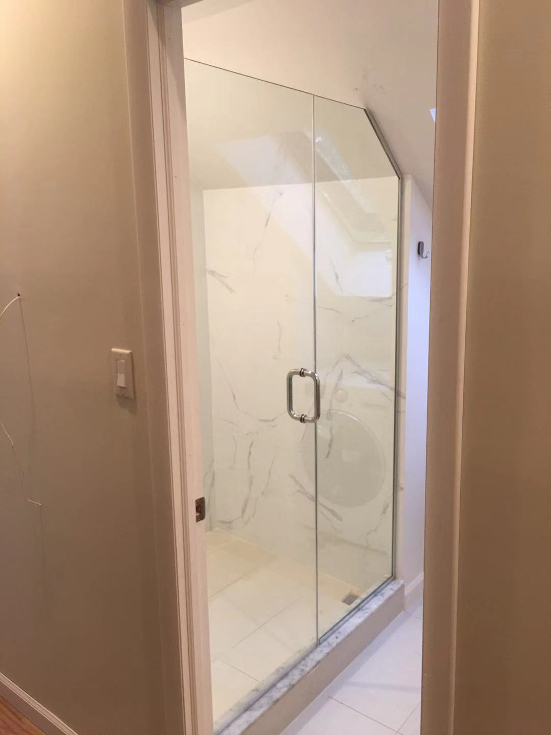 Shower Door