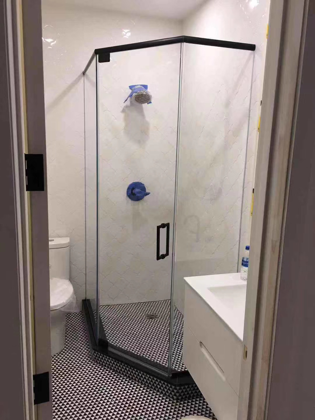 Shower Door