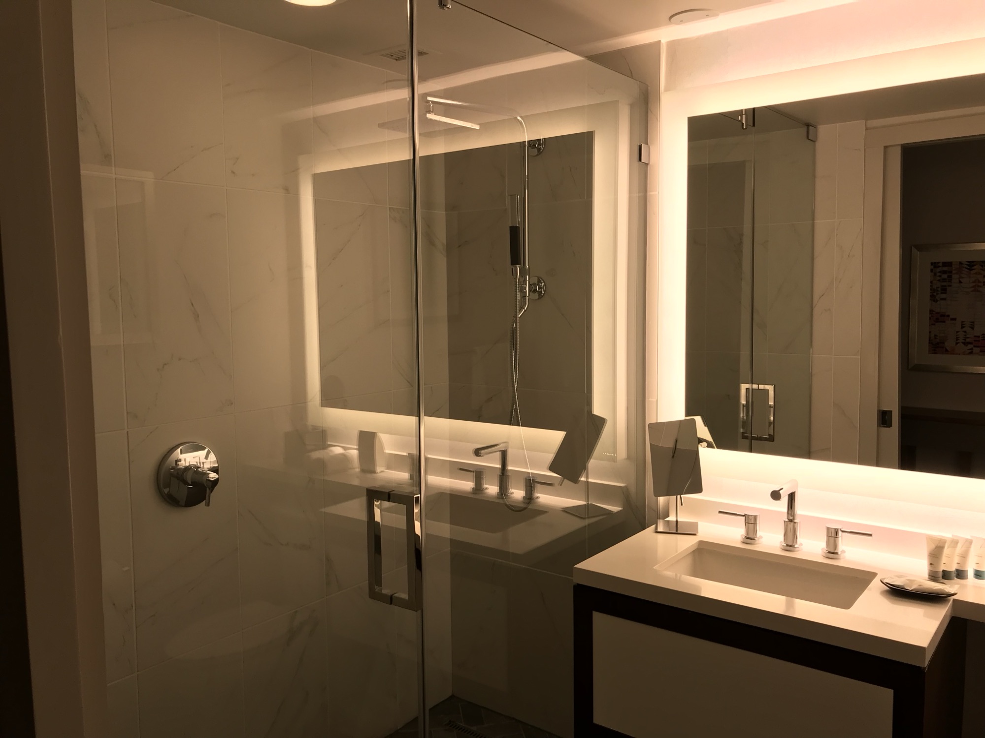 Shower Door