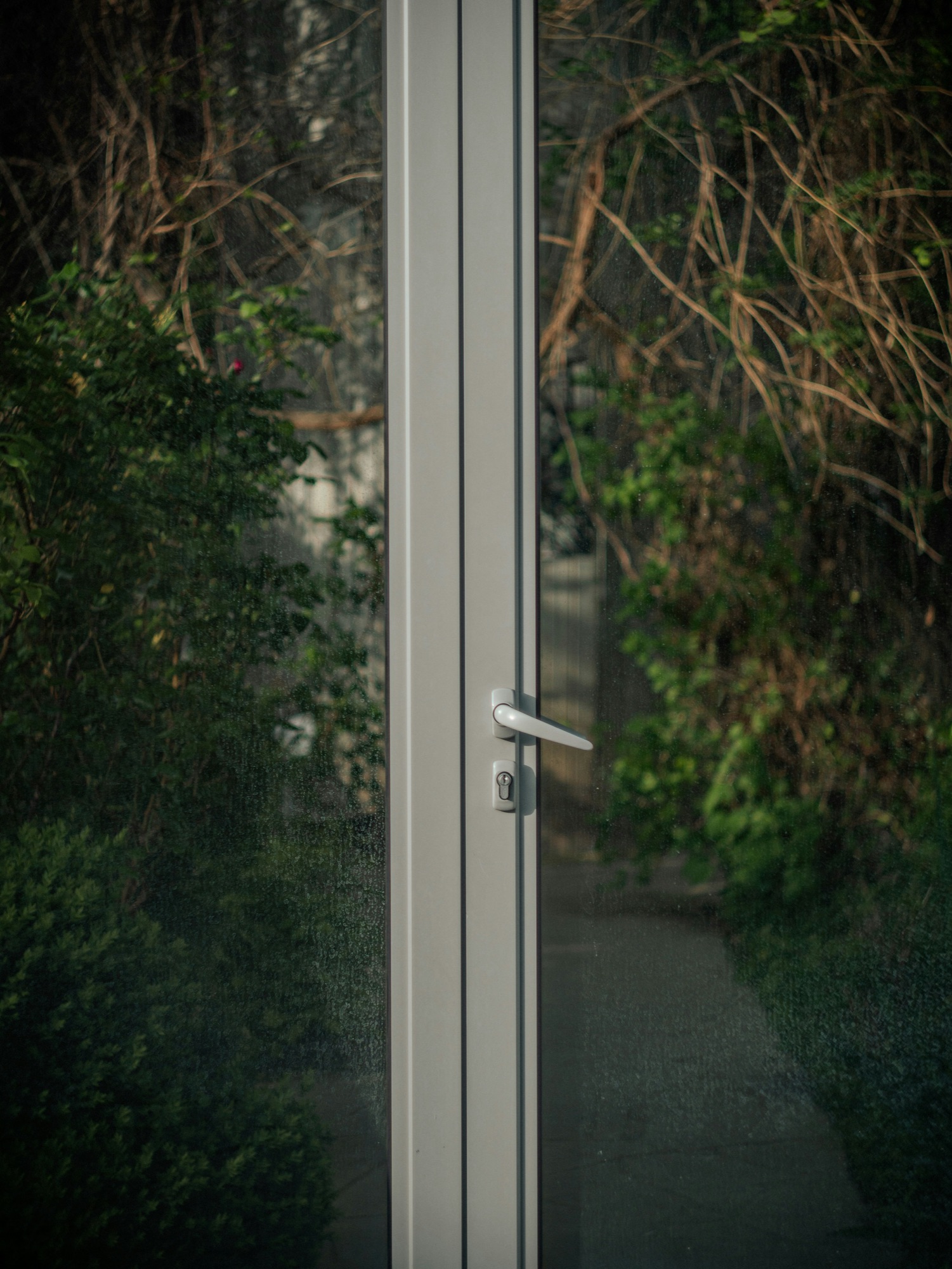 Aluminum Doors
